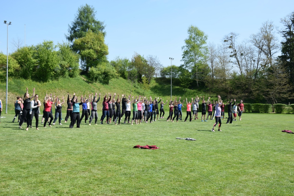 Bild 1 (81)